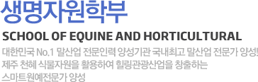 마사학부(SCHOOL OF Equine Science) - 대한민국을 대표하는 마사학부에서 최고의 말 산업전문가가 된다